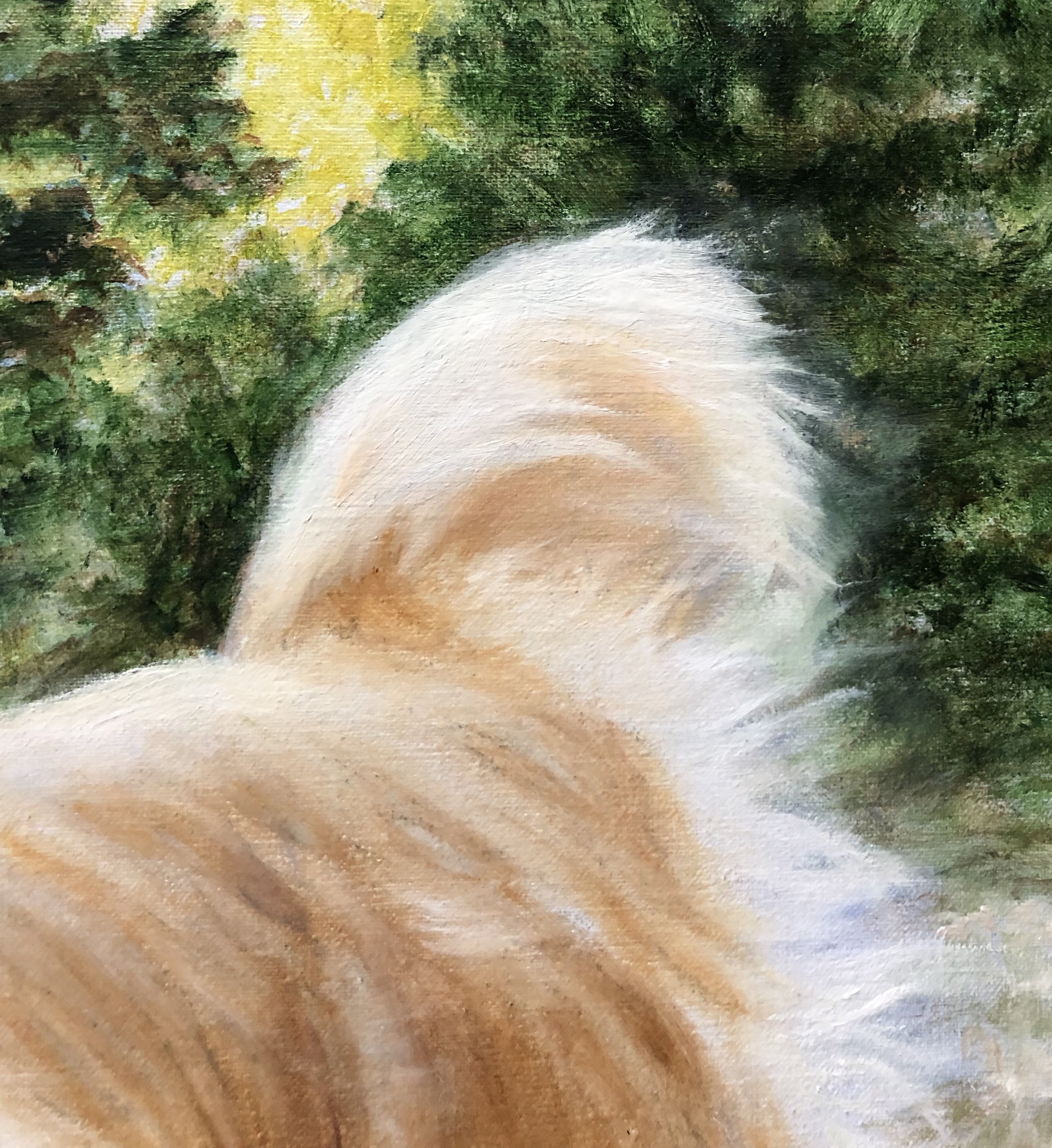 or tails!