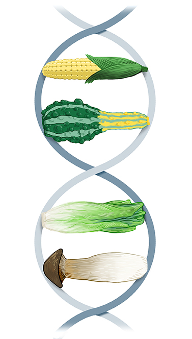 food DNA- cool.jpg