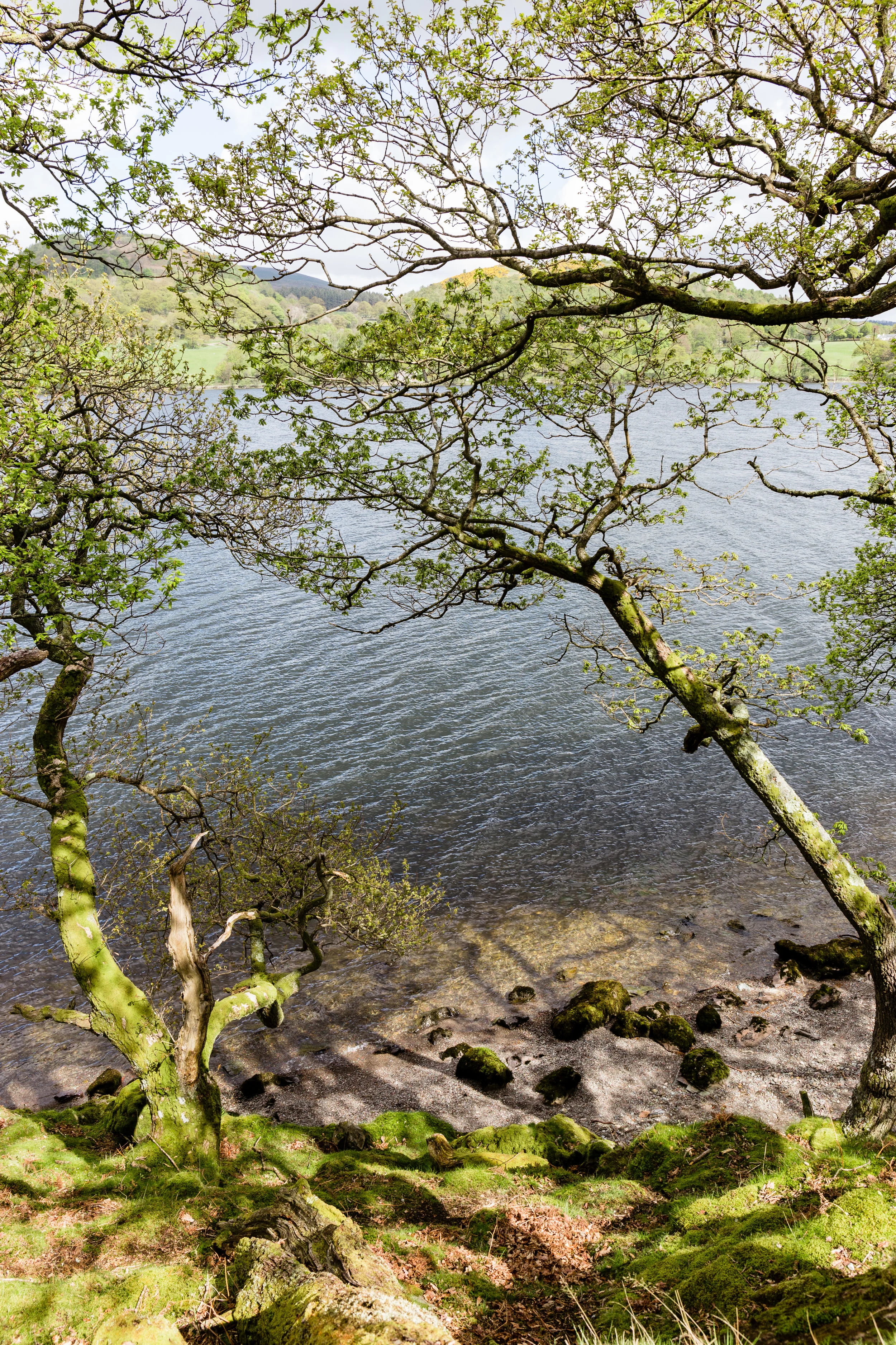 Beautiful views on the banks of Ullswater