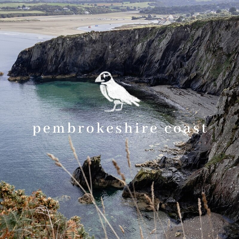 We&rsquo;re really excited to share that we now have an online guide to the Pembrokeshire Coast, written and photographed by local rambler @brookaurora_ 🌾

The guide contains 15 locations (including four walks ranging from 7km to 15km); from craggy 