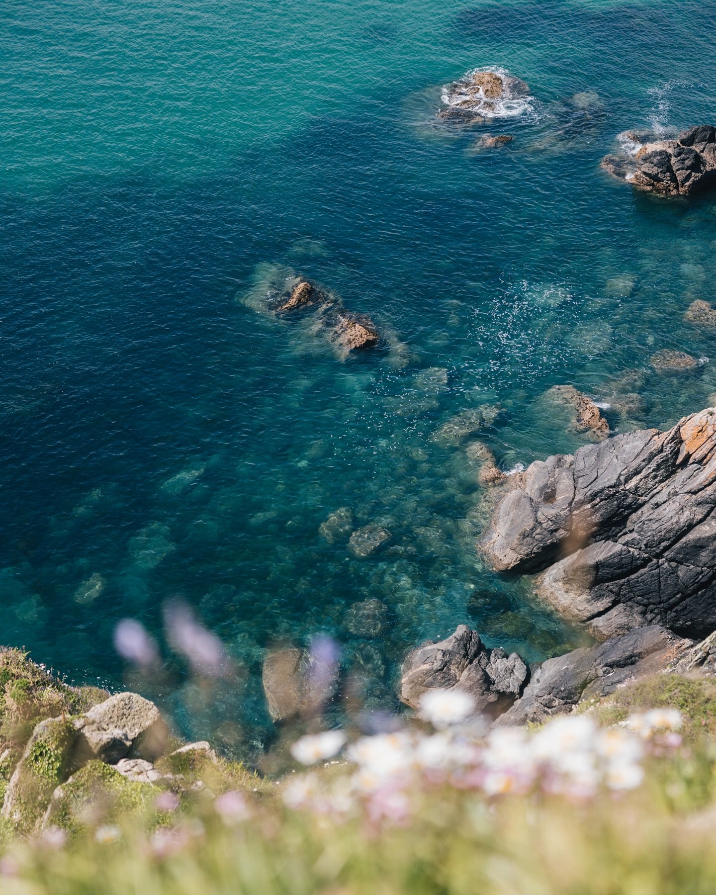 Cornish blues 💙🐟🌊🐳

This week we&rsquo;re down in Cornwall working on a new guide for the website 🙌 We&rsquo;ve been exploring some stunning secluded beaches, eating delicious seafood and rambling seacliffs. Looking forward to sharing the guide 