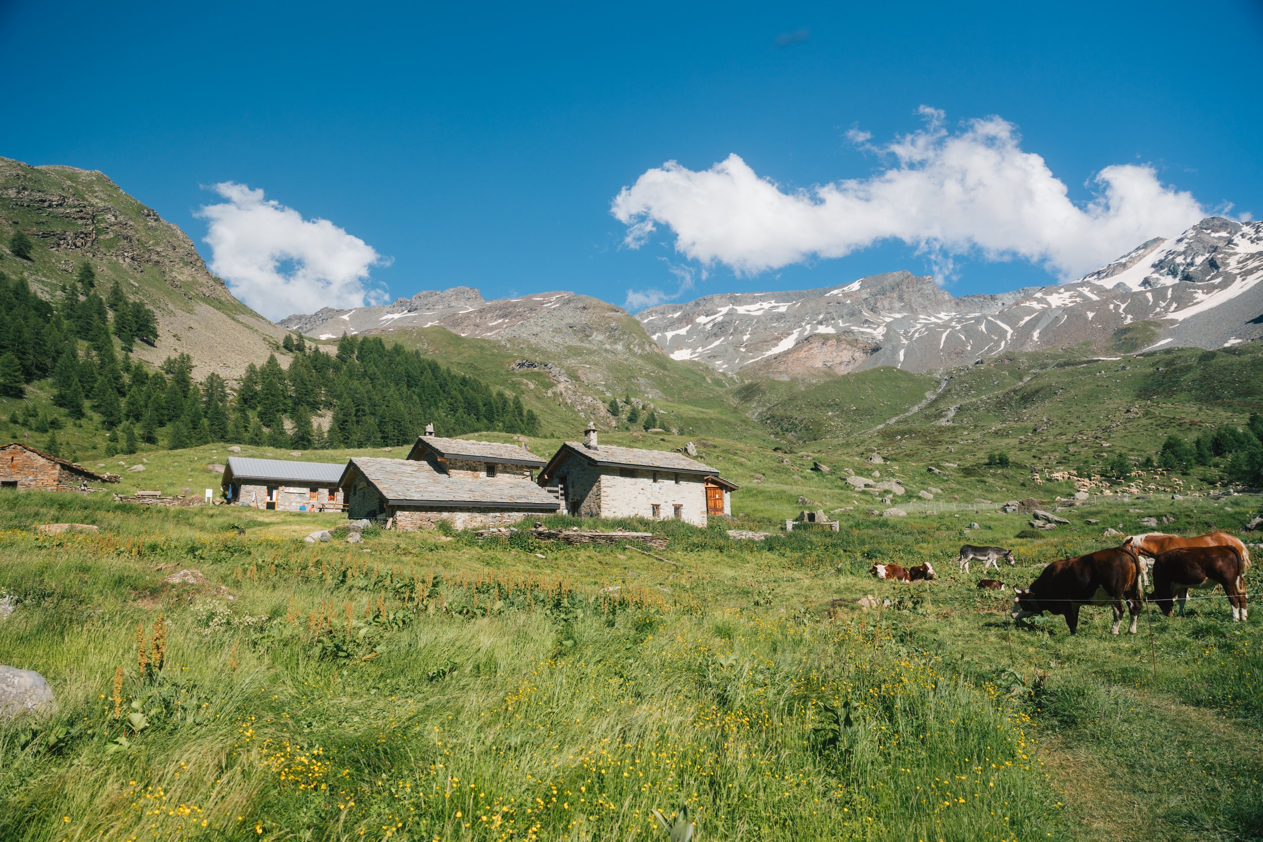 Everything You Need to Know About Staying in a Mountain Refuge with Little Kids