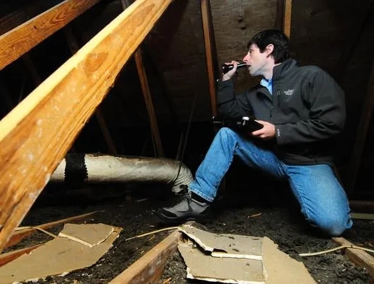MARLER-ATTIC.jpg
