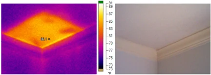 Light areas indicate missing ceiling insulation.
