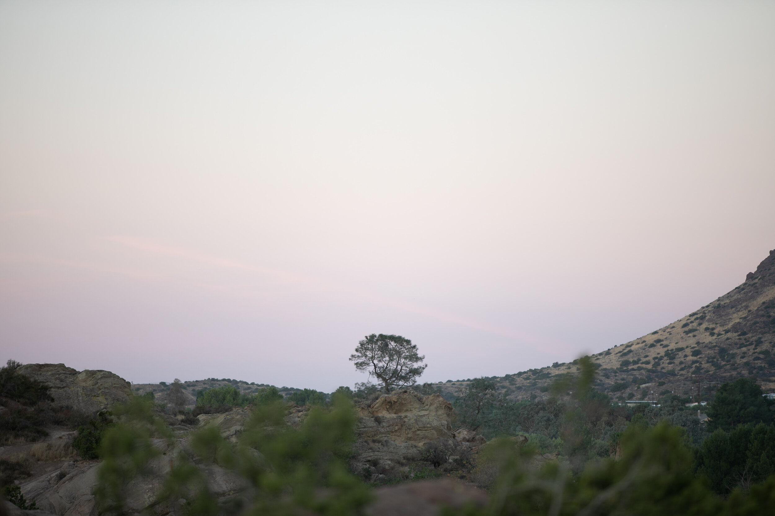  Photographed by Kyle Buckley/ Blue Octopus Media  