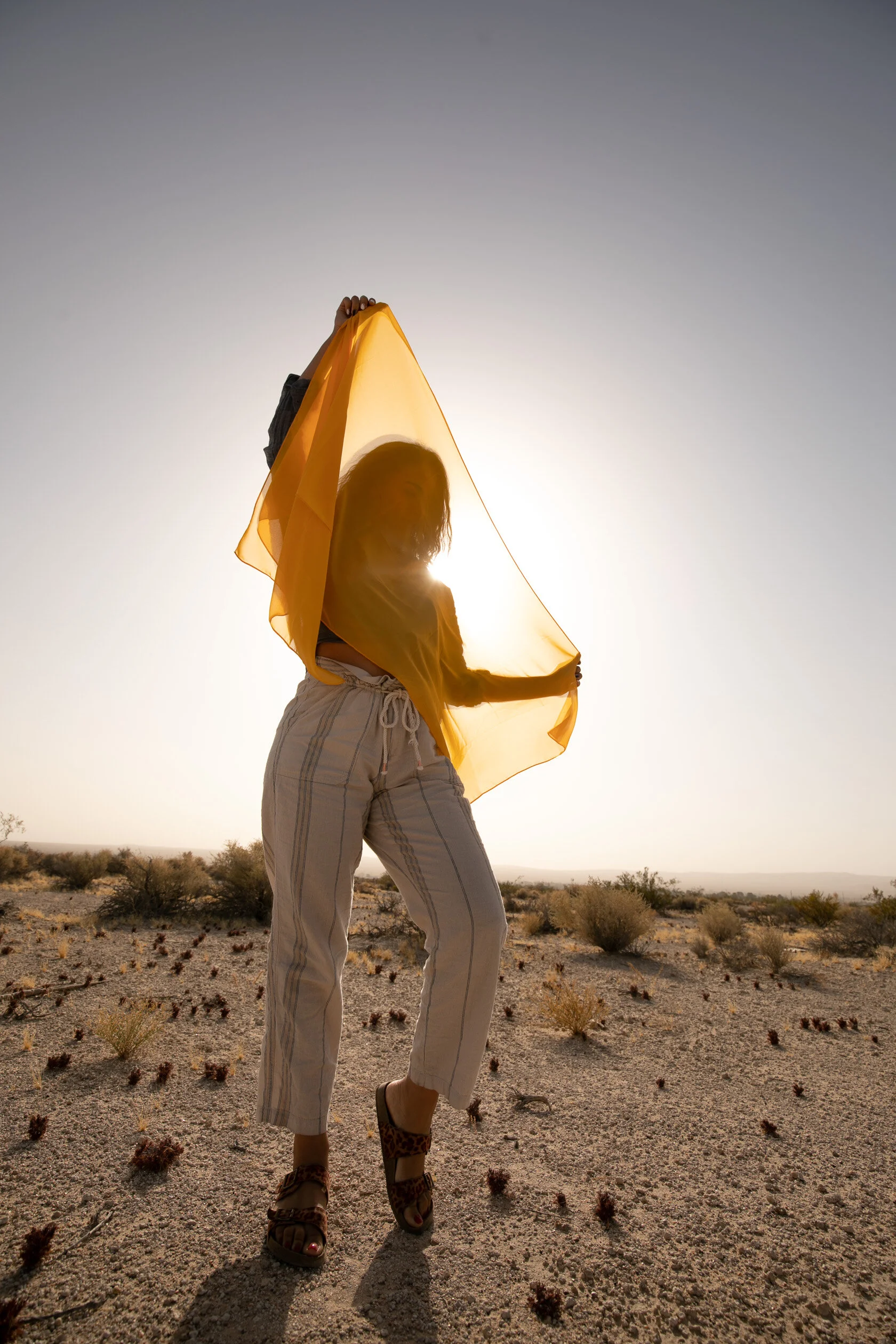  Photographed by Kyle Buckley/ Blue Octopus Media  