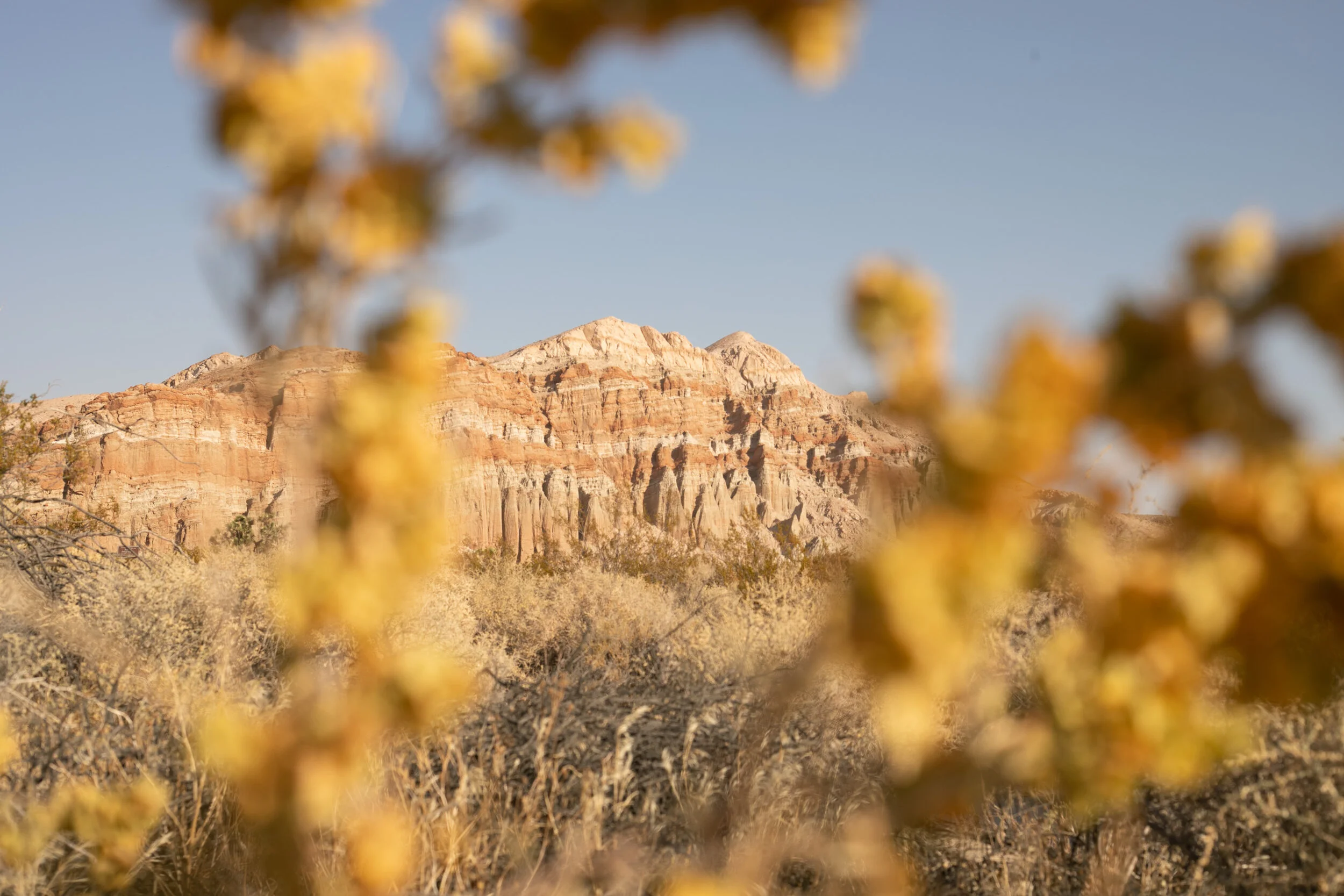  Photographed by Kyle Buckley/ Blue Octopus Media  