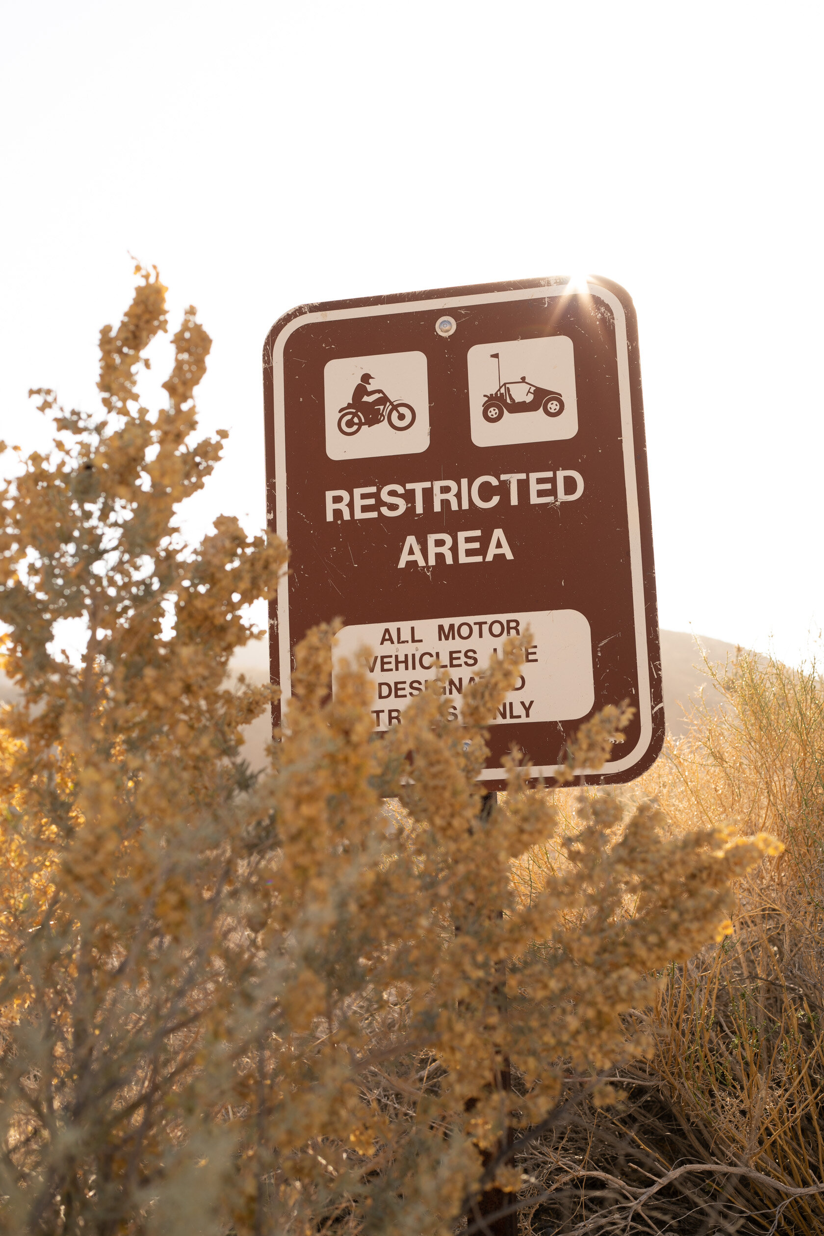  Photographed by Kyle Buckley/ Blue Octopus Media  