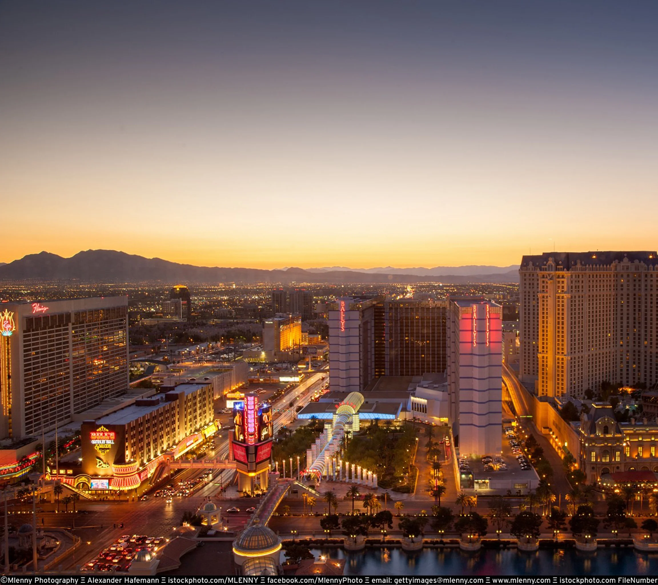 89372845-1920x1280 crop.jpg