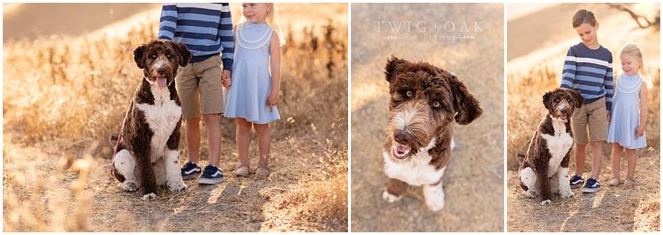 east bay walnut creek danville alamo lafayette orinda moraga san ramon family photographer photography_0066.jpg