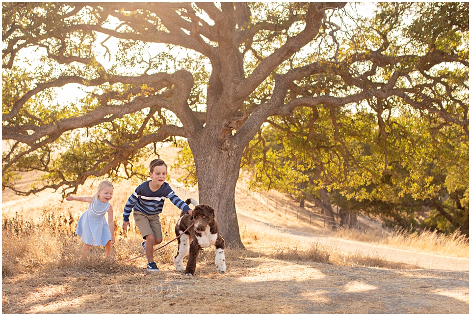 east bay walnut creek danville alamo lafayette orinda moraga san ramon family photographer photography_0071.jpg