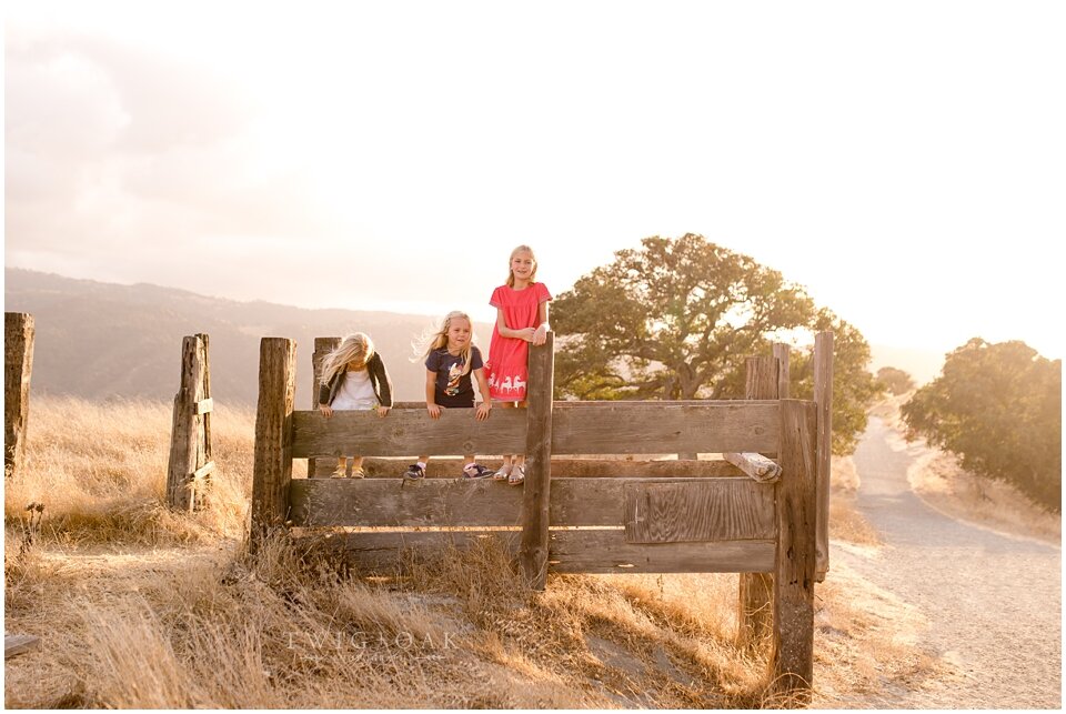 east bay walnut creek danville alamo lafayette orinda moraga san ramon family photographer photography_0088.jpg