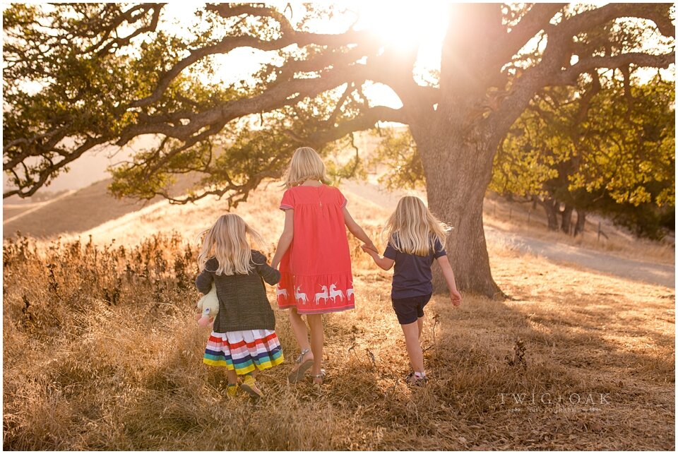 east bay walnut creek danville alamo lafayette orinda moraga san ramon family photographer photography_0091.jpg