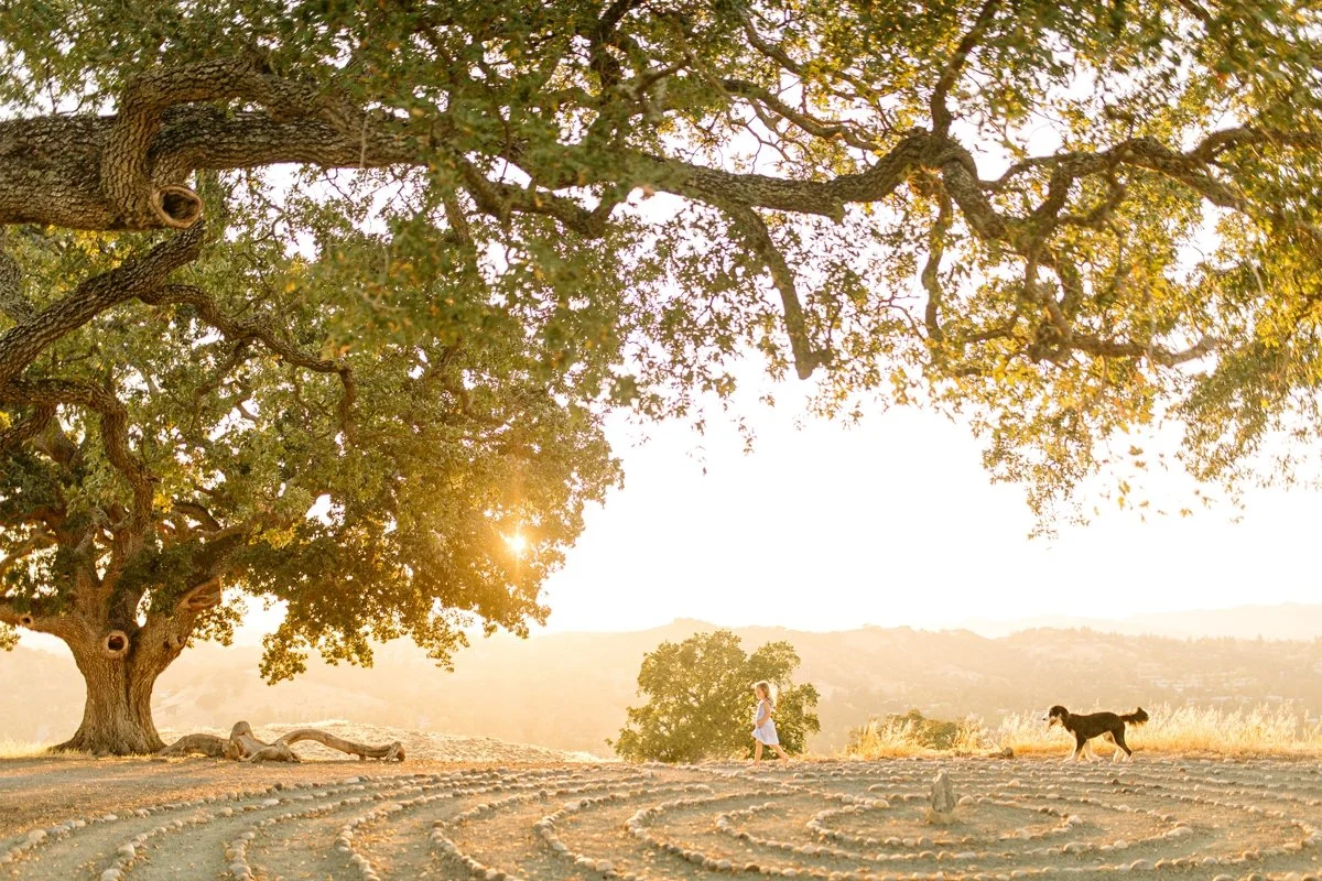 east bay walnut creek danville lafayette orinda moraga san ramon livermore photographer photography_0238.jpg