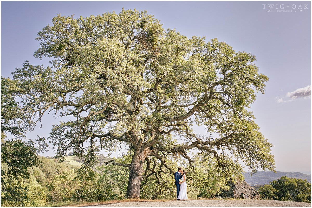 east bay walnut creek danville lafayette orinda moraga san ramon livermore photographer photography_0182.jpg