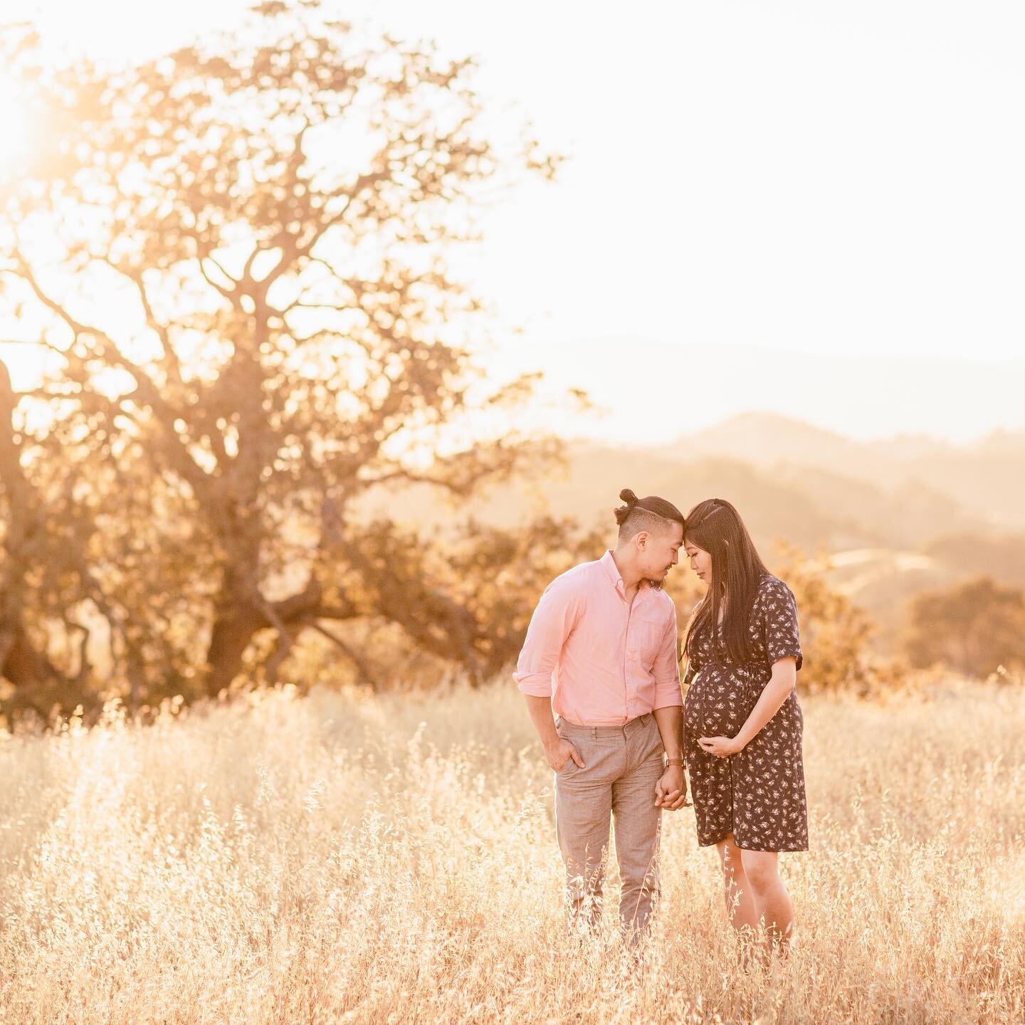 I can feel the warm sunlight from this session and I can&rsquo;t wait for the weather to warm up!! ☀️

#bayareafamilyphotographer ⁠
#bayareanewbornphotographer
#bayareaphotographer ⁠
#eastbayphotographer⁠
#eastbayfamilyphotographer⁠
#walnutcreekphoto