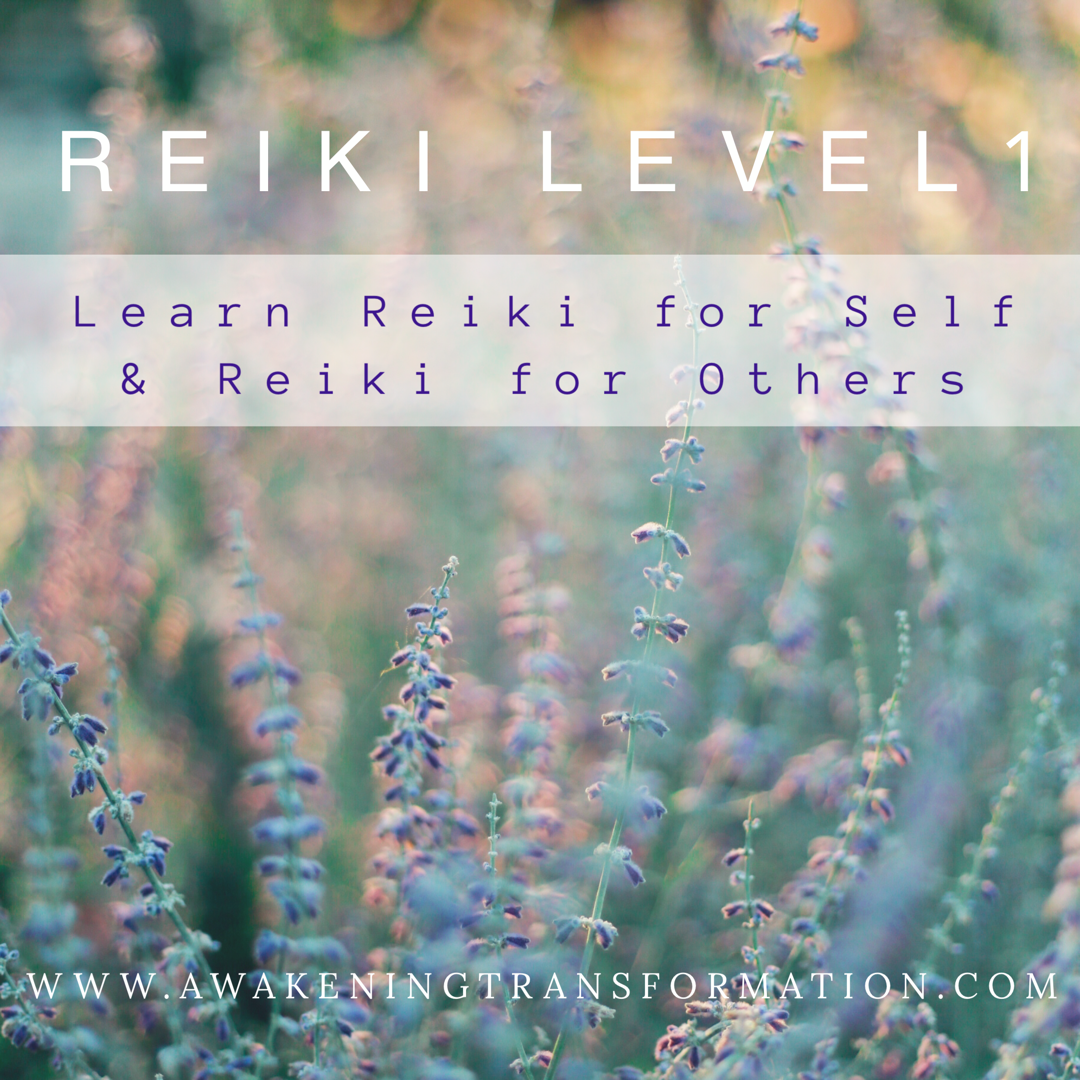 Online Reiki Level 1 AUG 8