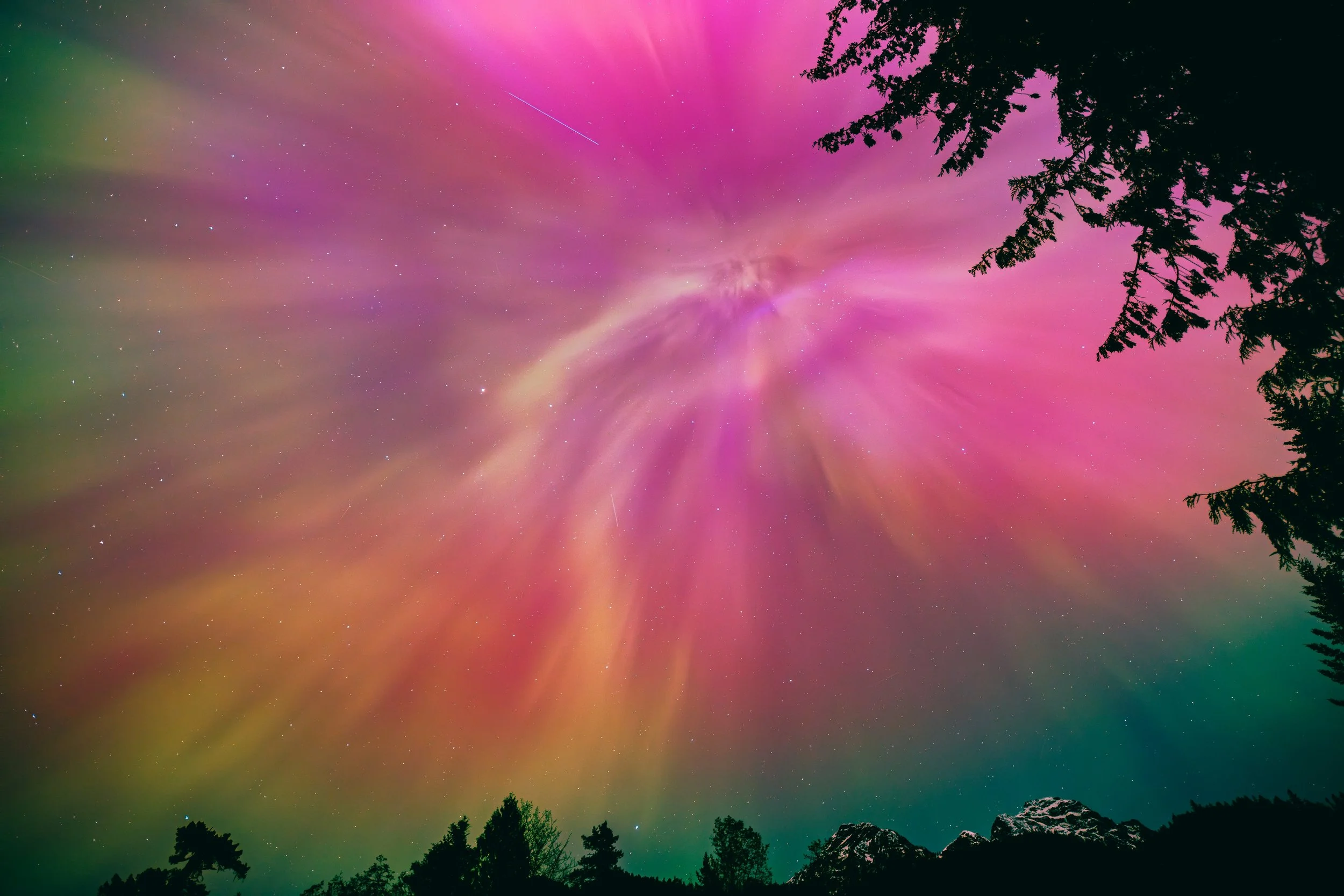 Feeling the 2026 Frequency Shift? 🧬