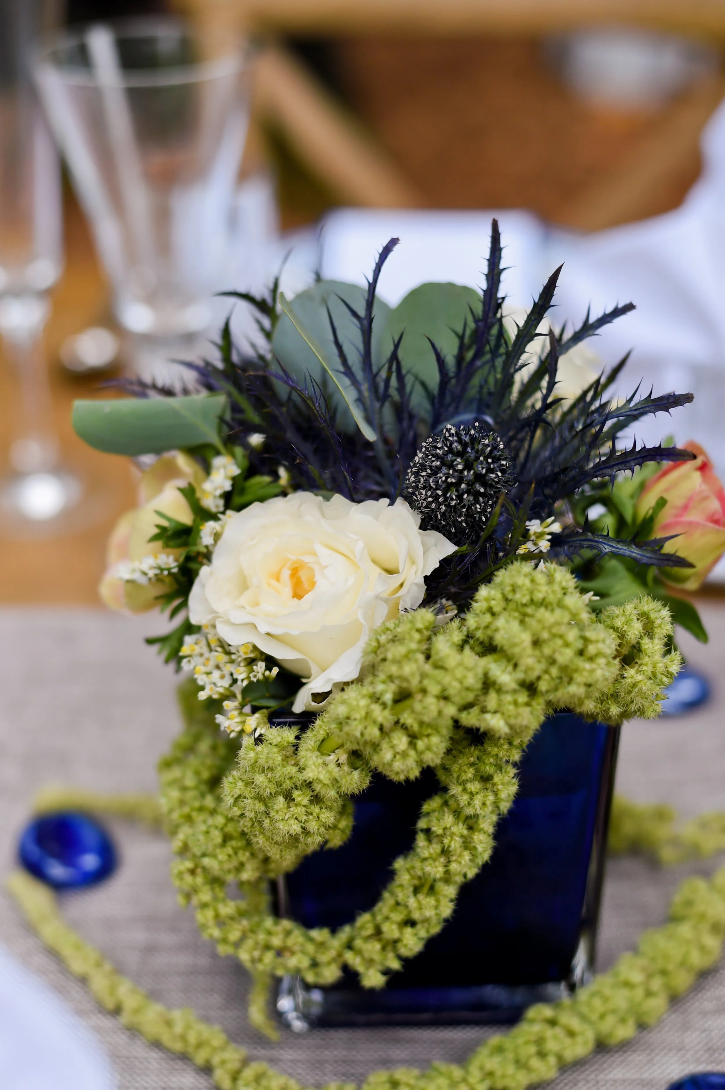 BlueOrchid_0181 (1).jpg
