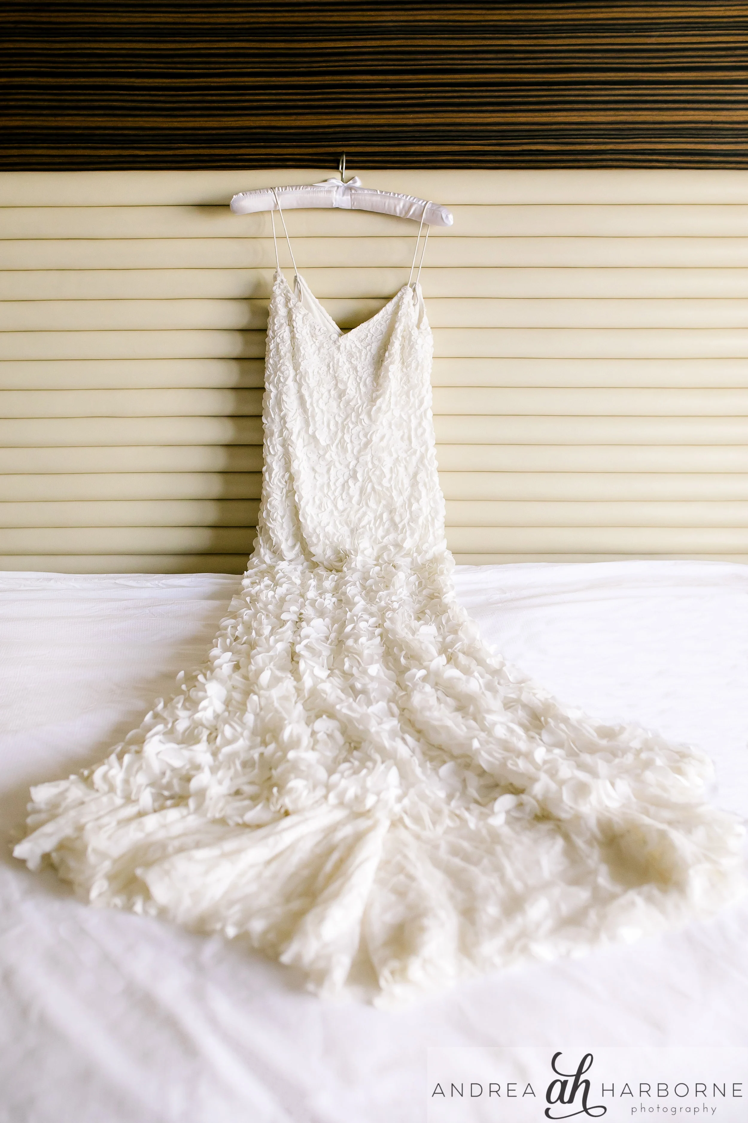 Dana + Alex Wedding  (10).jpg