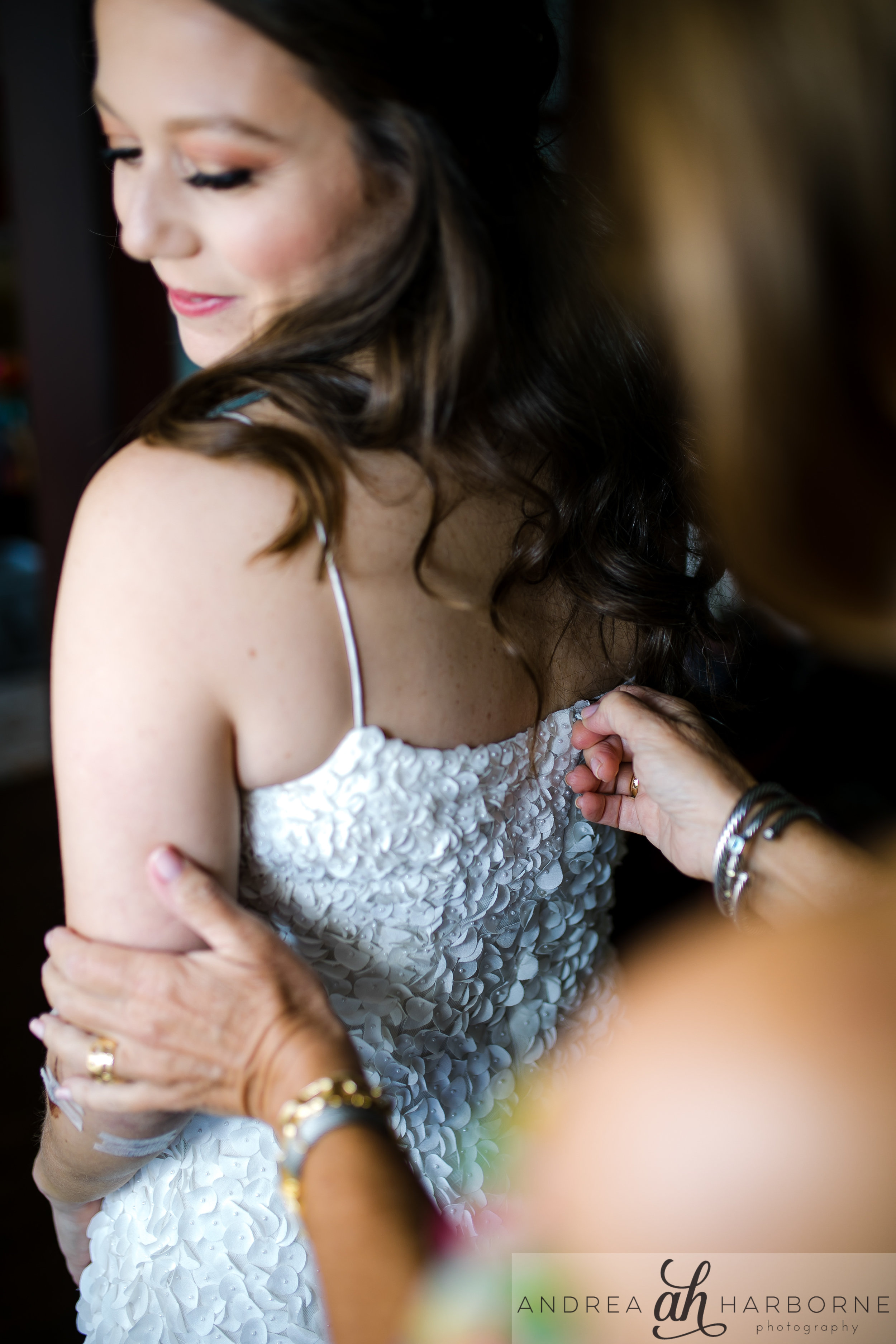 Dana + Alex Wedding  (88).jpg
