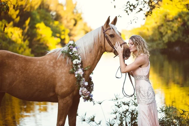 Wedding Pets