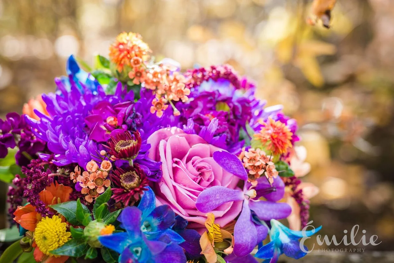 Emilie Photography Bouquet.jpeg