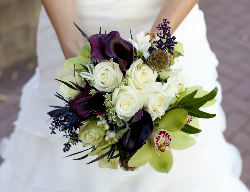 purple-and-cream-kiersten.jpg