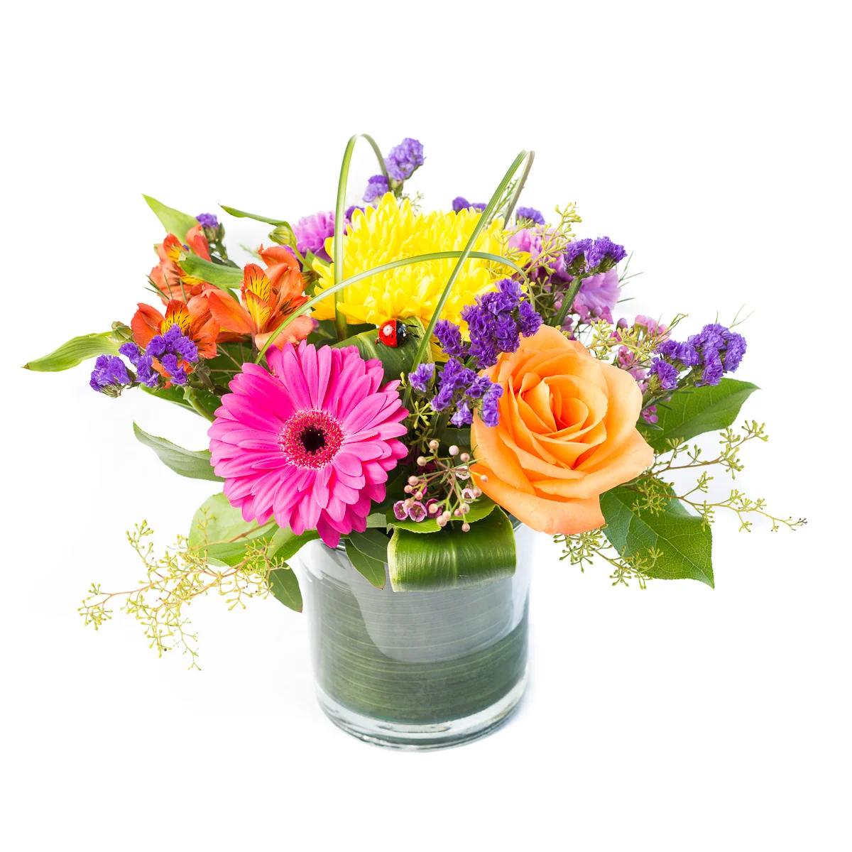Bright and Blooming