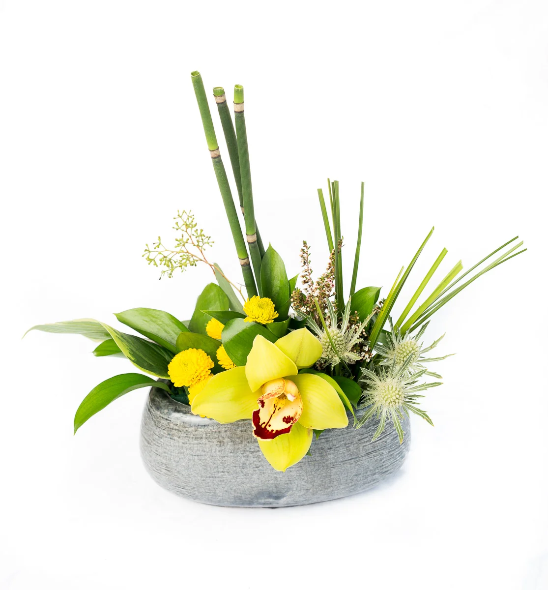 Artful Orchid Arrangement