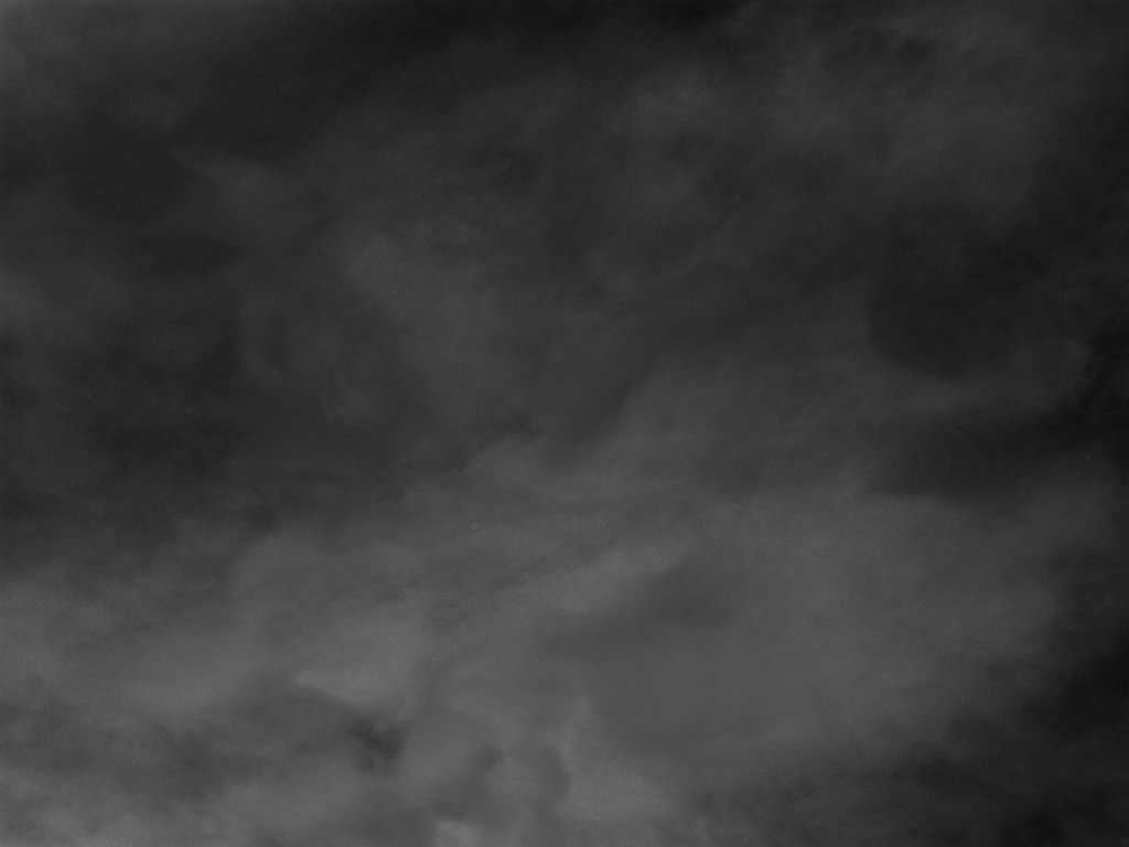 section-8-band-fog-site-ready.png