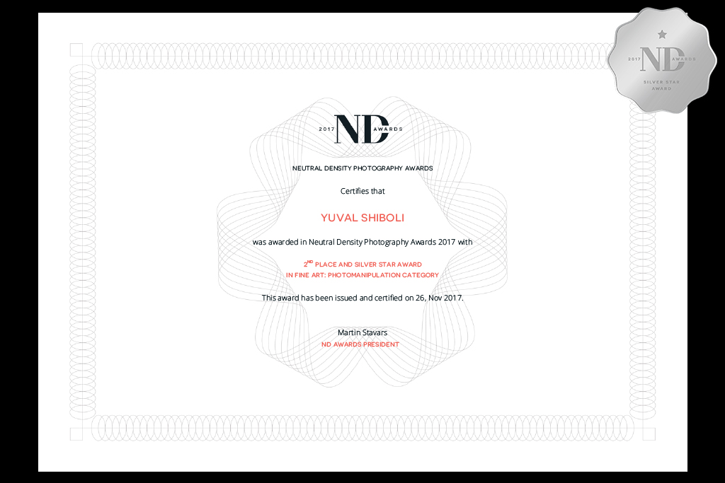 Silver-Cert.jpg