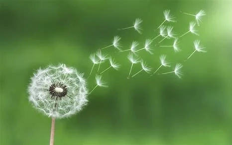 Breathe!