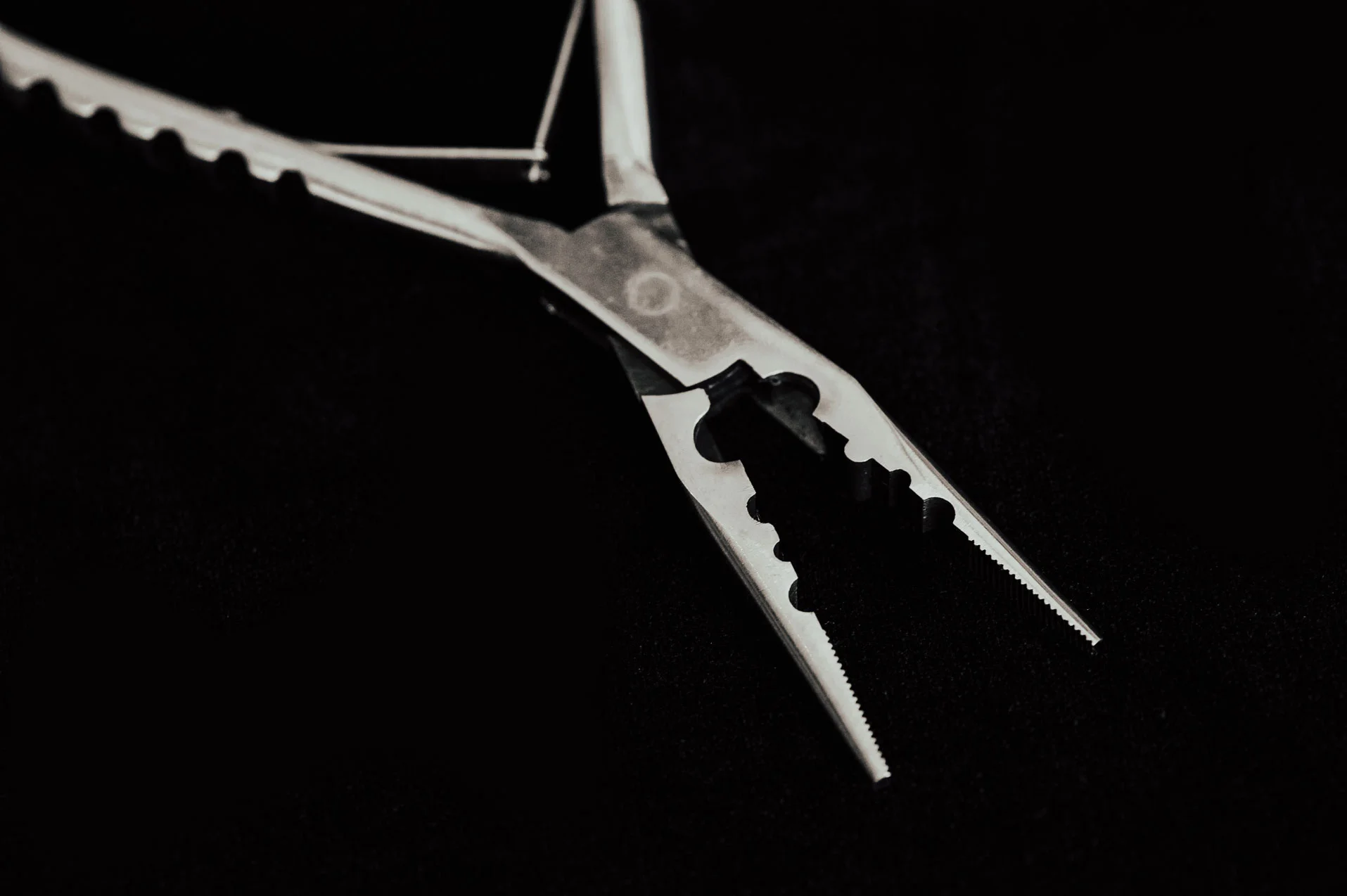 _SLC8405.jpg