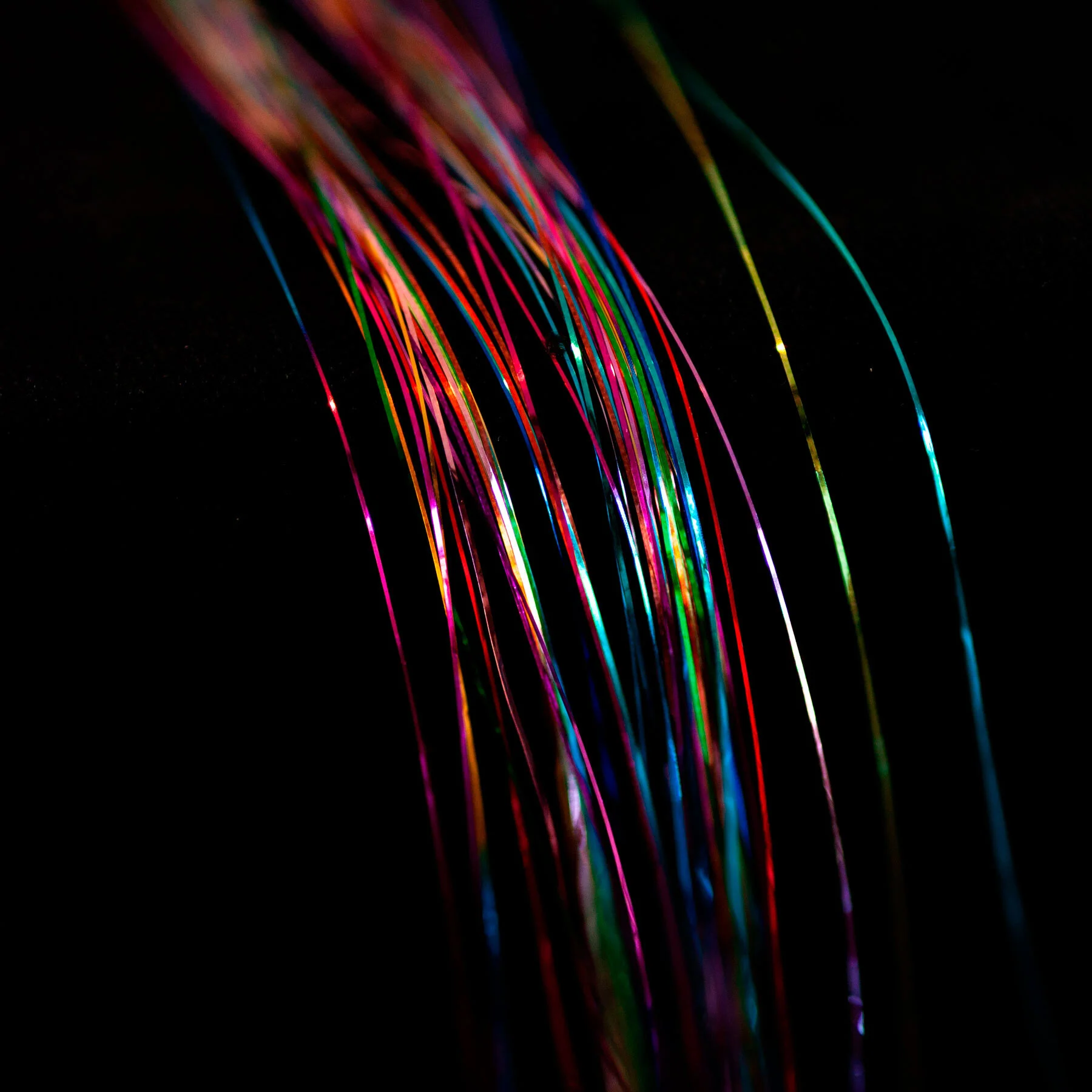 _SLC8287_square.jpg