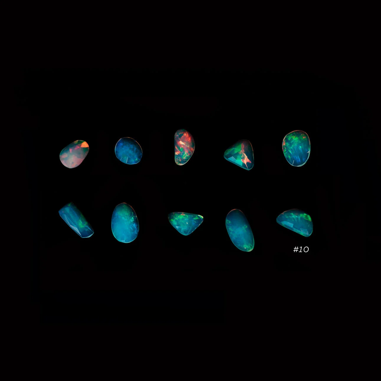 10_SLC8664_rearranged.jpg