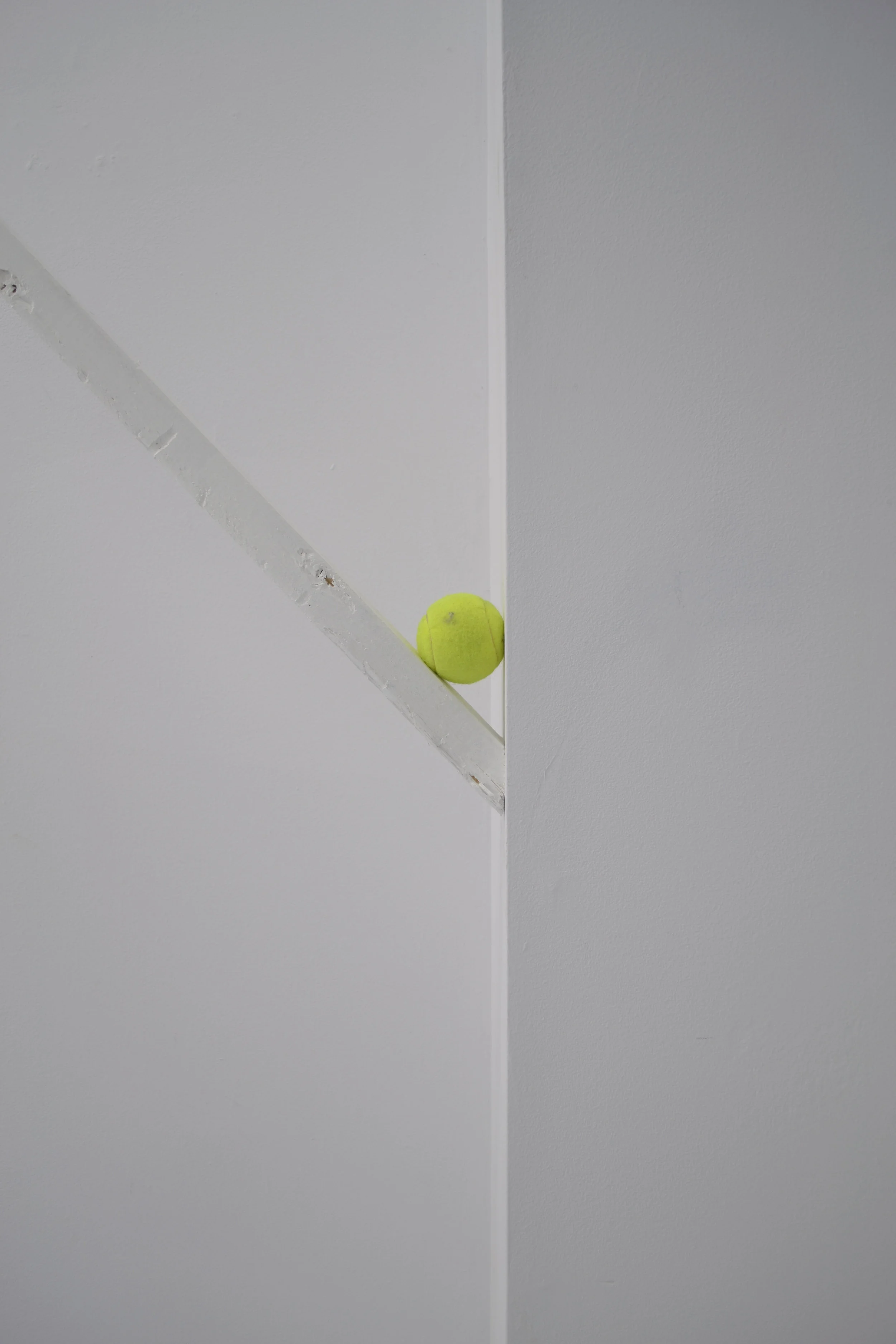bounce.jpg