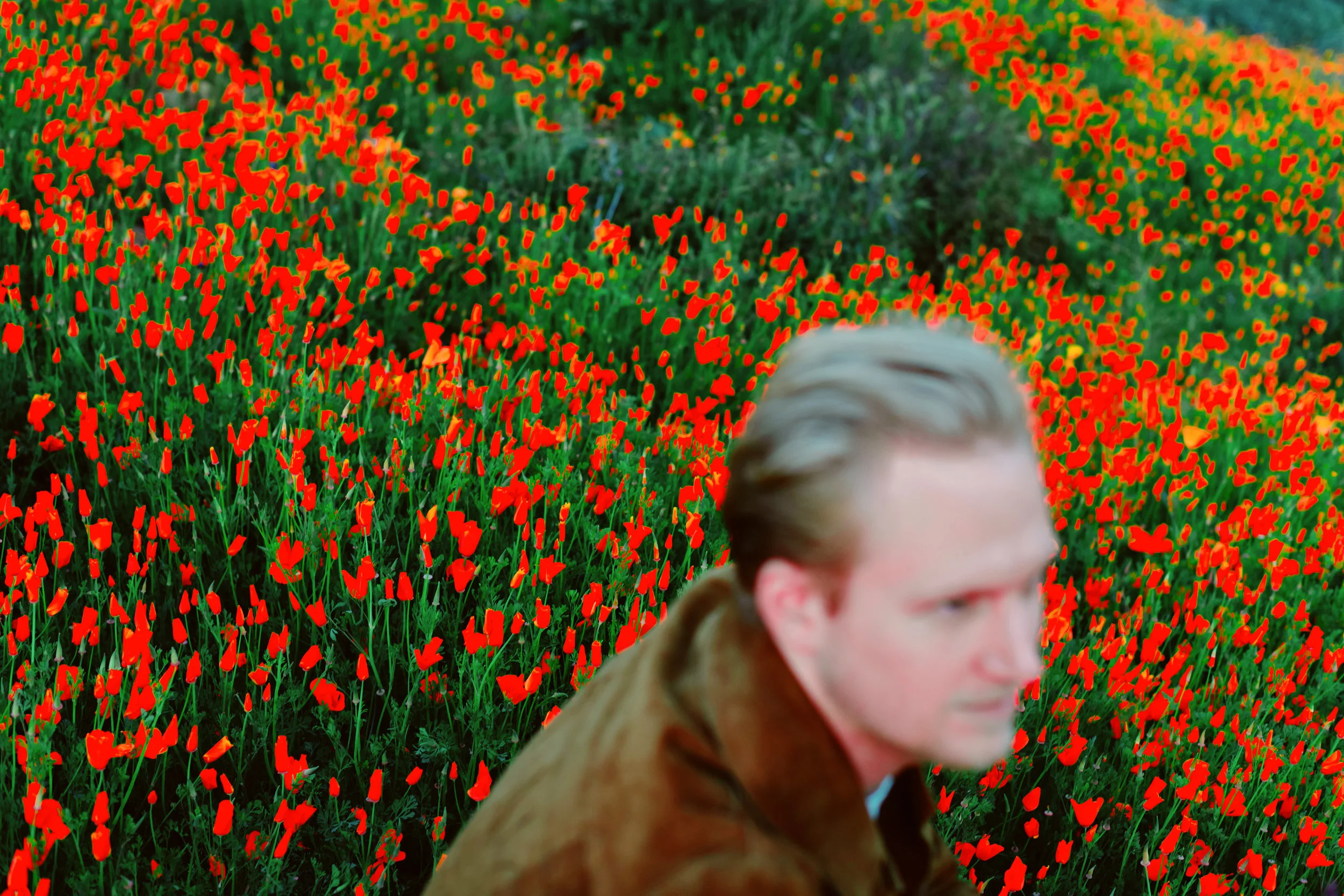 sam_poppies_FINAL.jpg