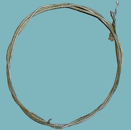 Gut String.jpg