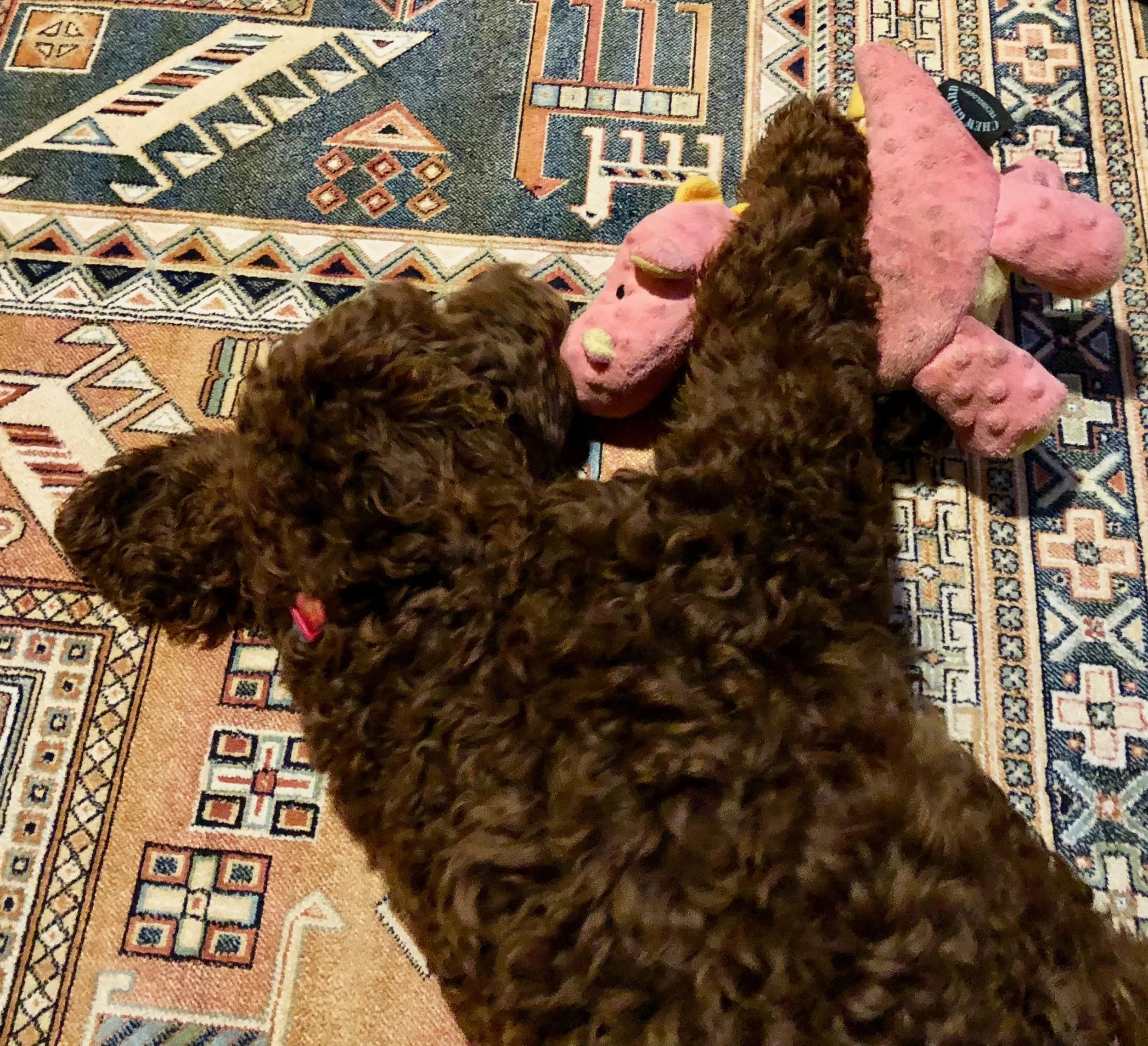Ellie with a recently subdued pink dragon.