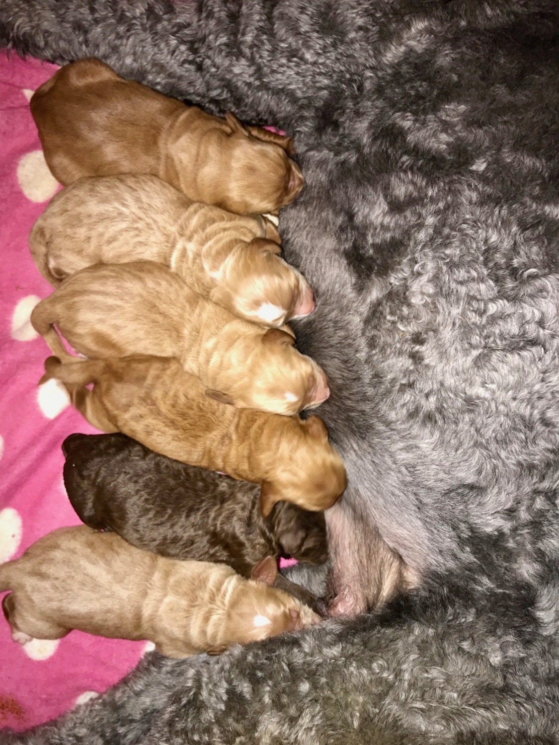 I’m the second one from the bottom.