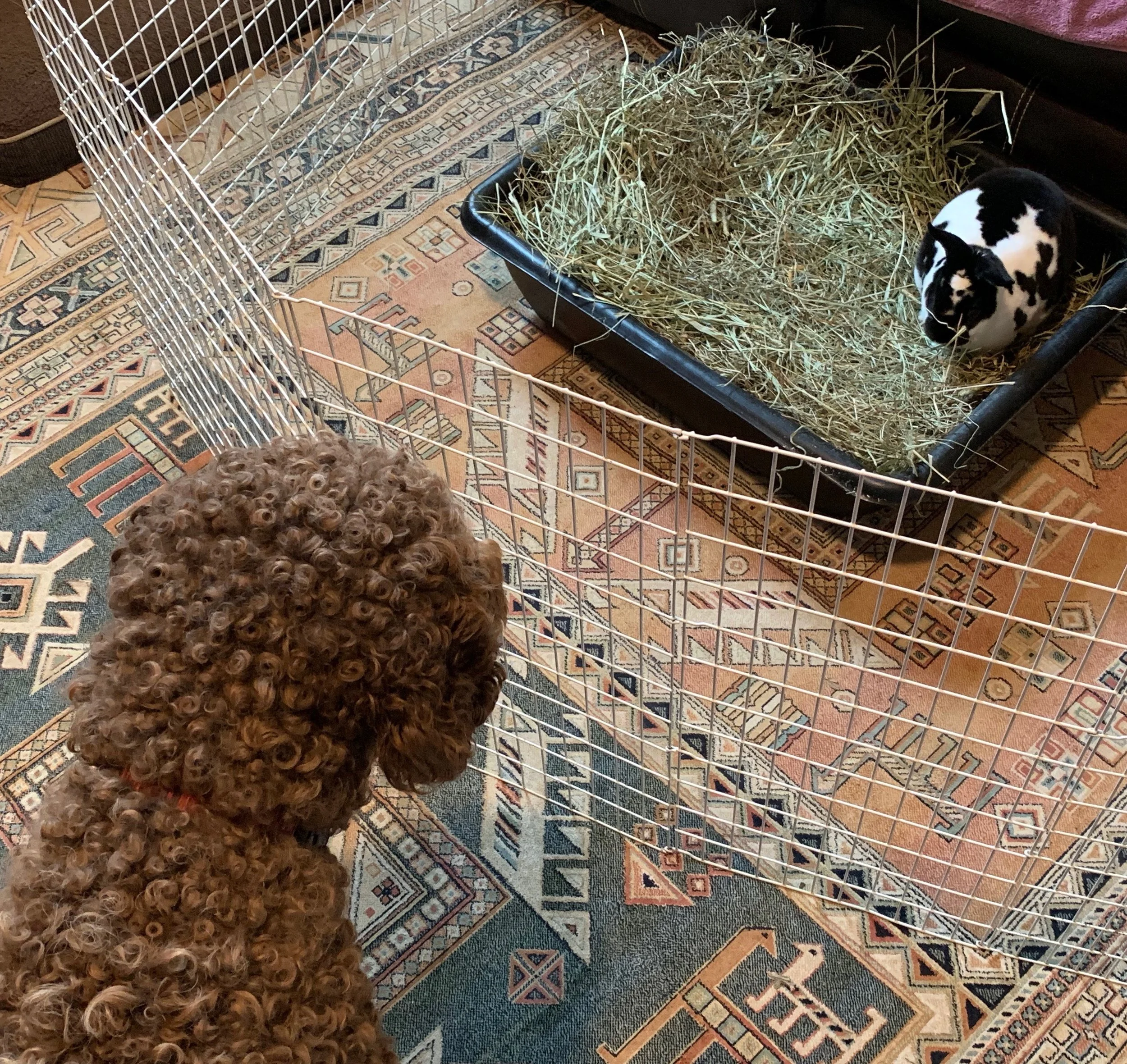Ellie says “good-bye” to Owen.