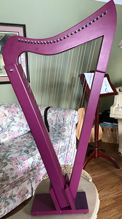 Fraudulent harp purchased from Remenyi House of Music in Toronto, Canada