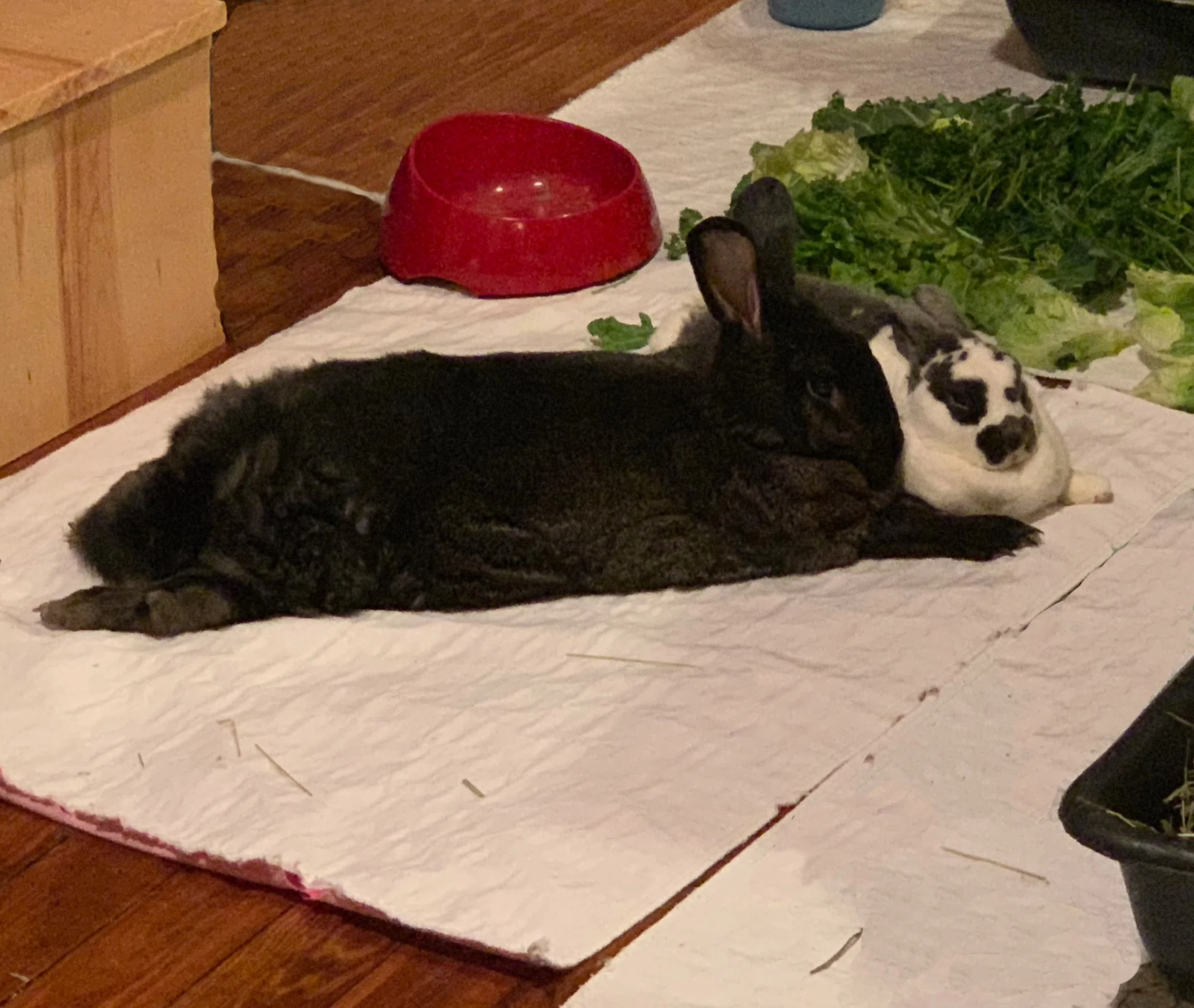David snuggles with Mercy with his feet kicked out.