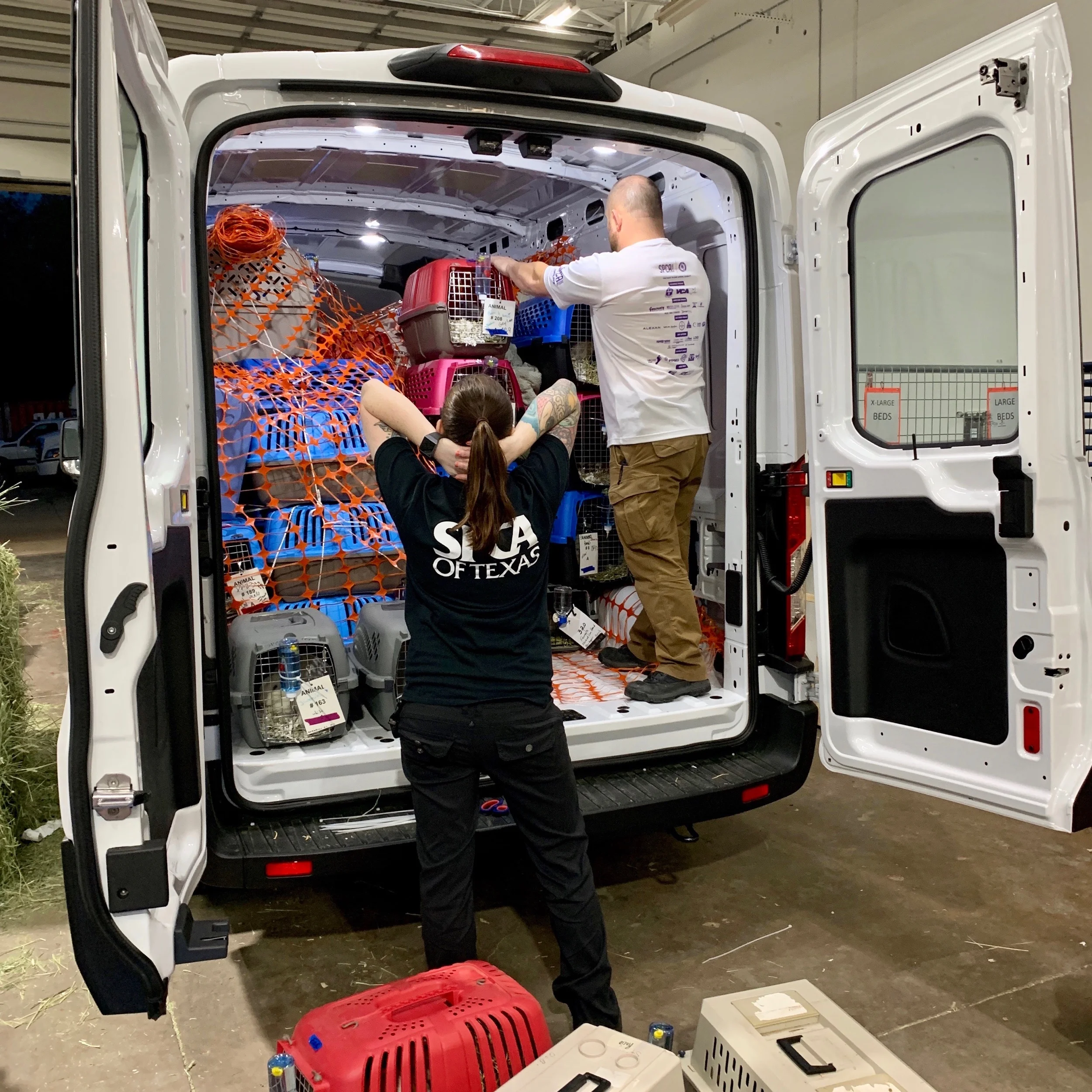 The SPCA secures the bunnies in the van.