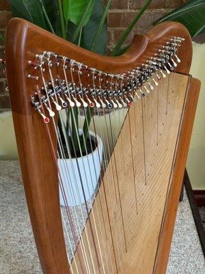 Double Morgan Meghan Concert Line Harp — Rees Harps Inc.