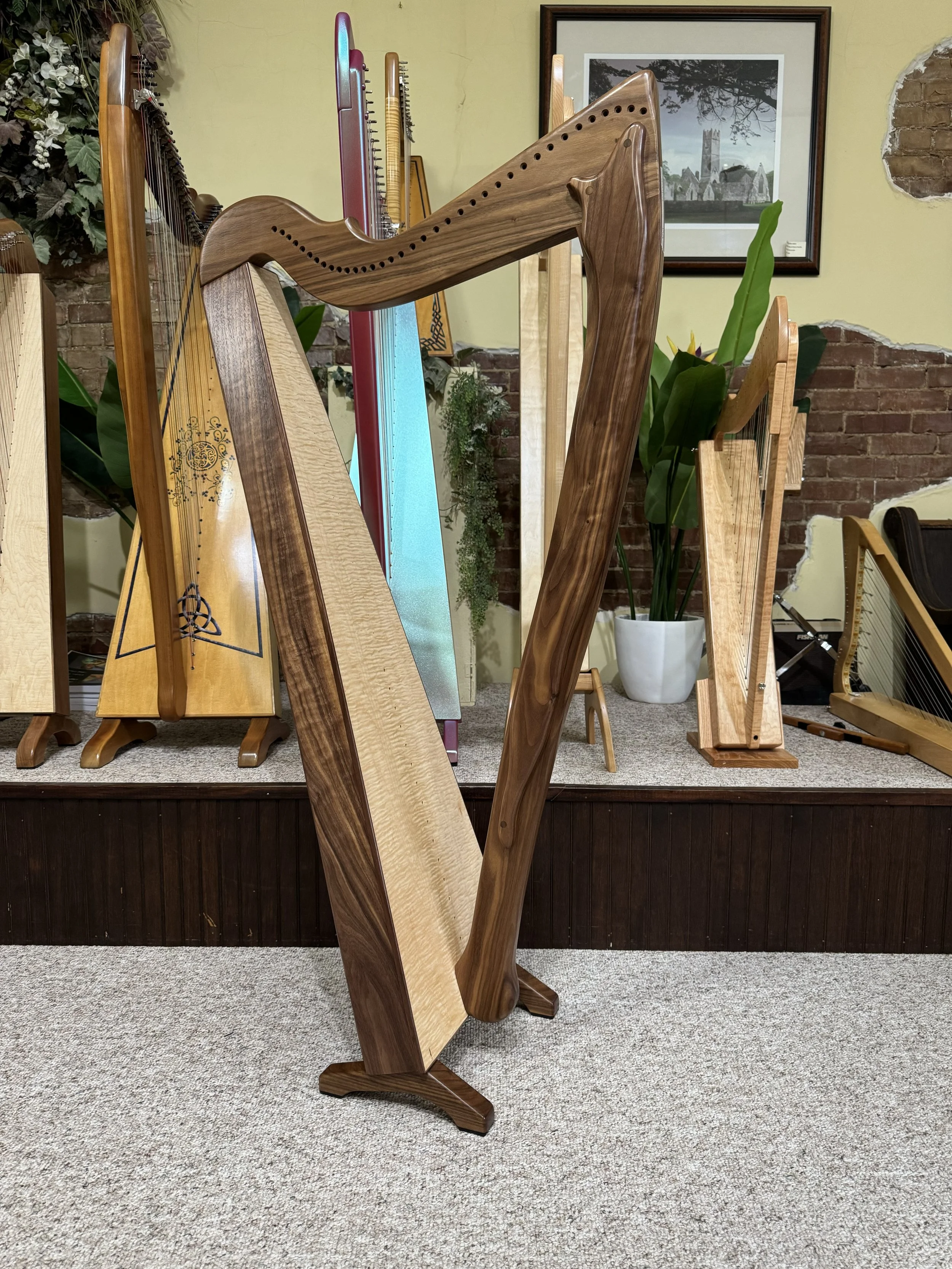 Aberdeen Meadows - Walnut Wood