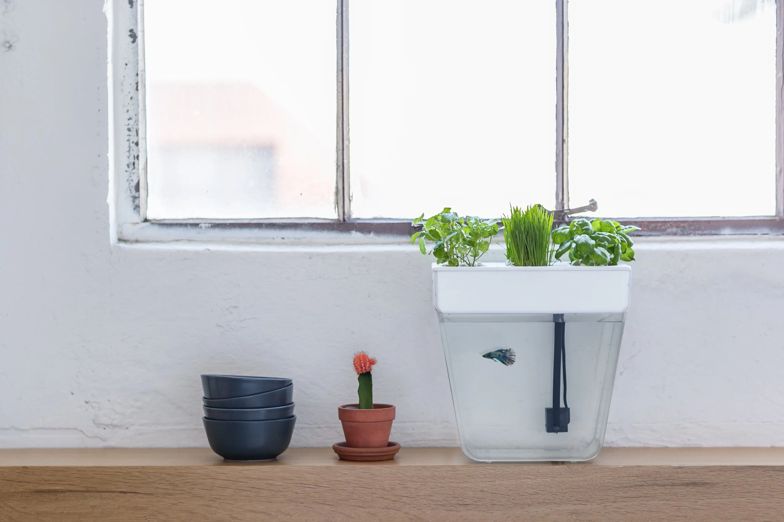 WGv2_Windowsill copy.jpg