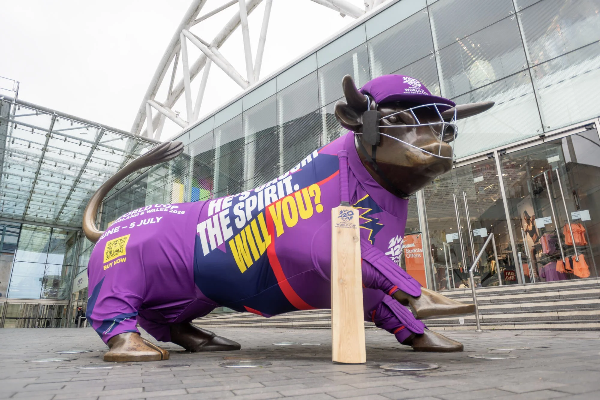 Cricket Bullring_6.jpg