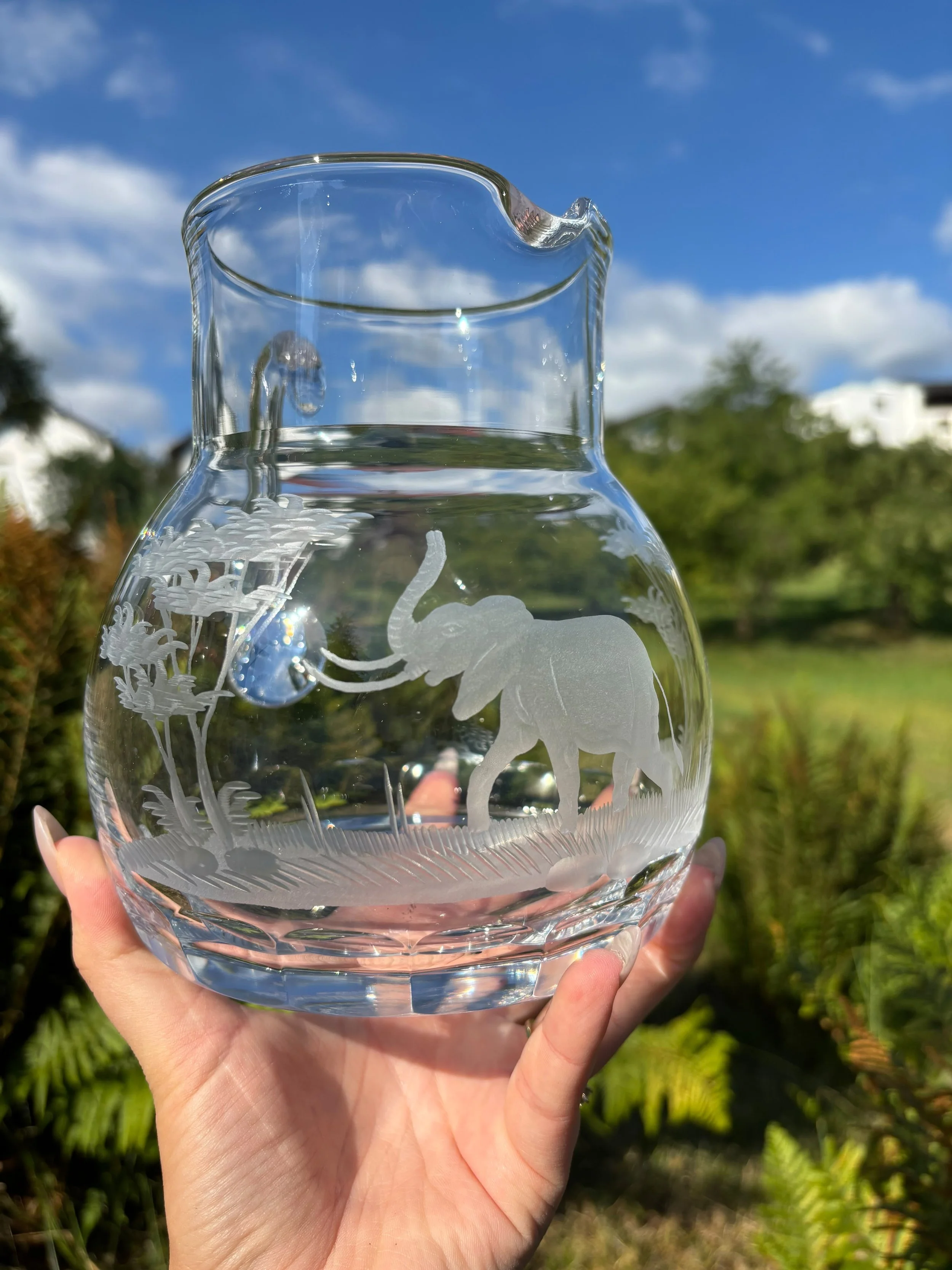 Water Pitcher